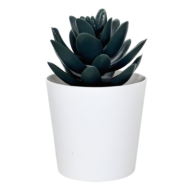 Black Succulent Fake Plant in White Pot