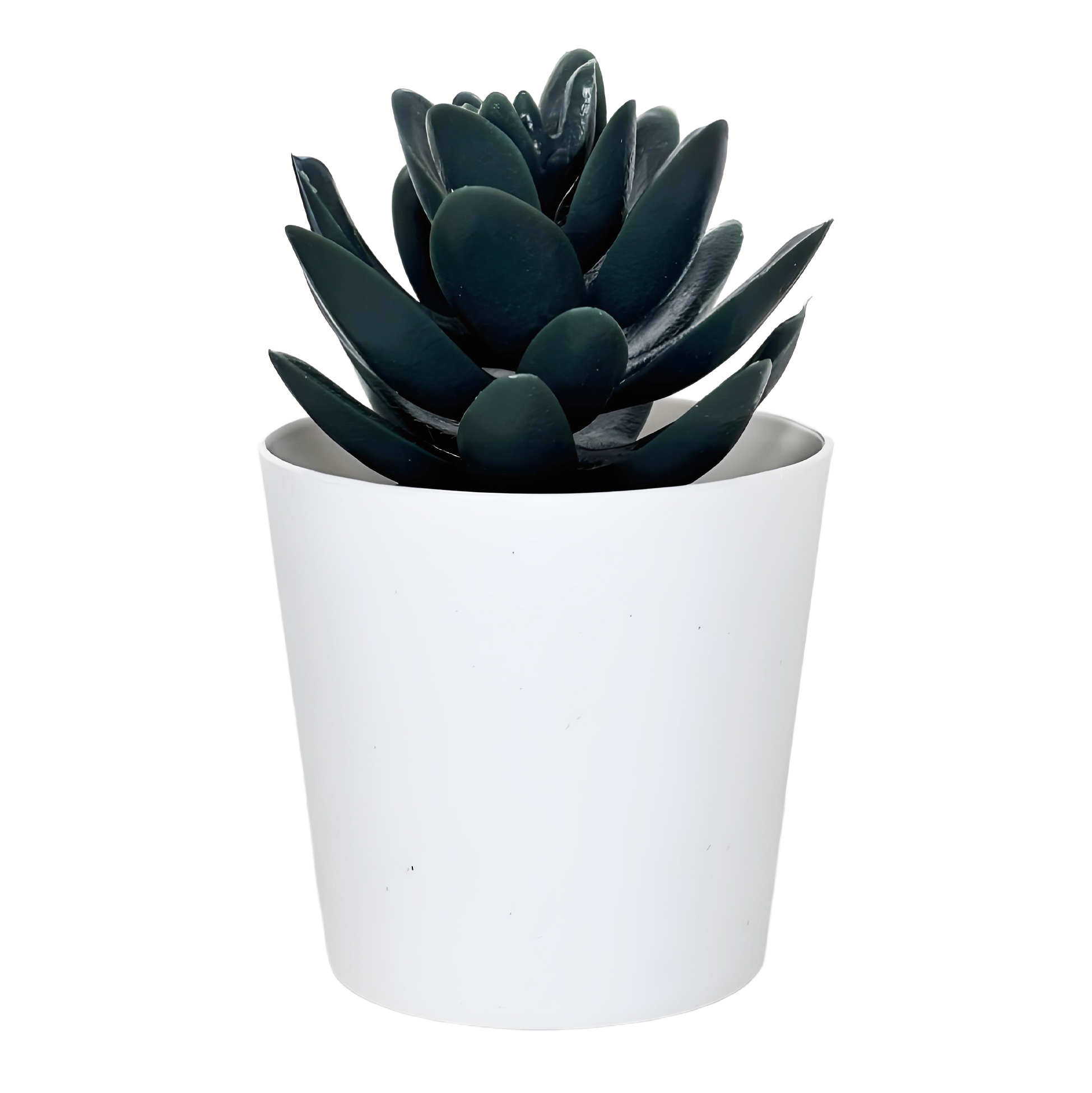 Black Succulent Fake Plant in White Pot