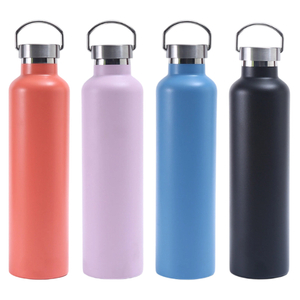 750ML Insulated Stainless Steel Water Bottle with Metal Handle Lid