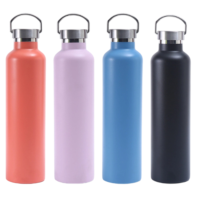 750ML Insulated Stainless Steel Water Bottle with Metal Handle Lid